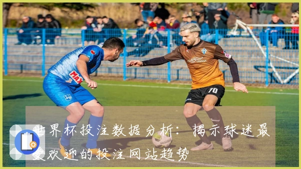 世界杯投注数据分析：揭示球迷最受欢迎的投注网站趋势