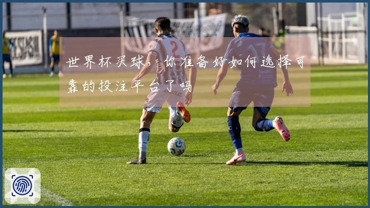 世界杯买球，你准备好如何选择可靠的投注平台了吗